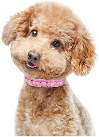 DHDM Персонализирани Нашийник за кучета От естествена кожа, украсена с кристали, Амулети за домашни кучета, Името на котката (Цвят: бял-Динозавър Doodle4, Размер: L 36-46 см)