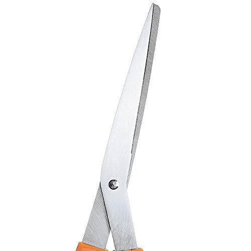 Ножици за учители colorization с пластмасова дръжка, Определени от 3,8 -1/2 см, Нож от неръждаема стомана, За