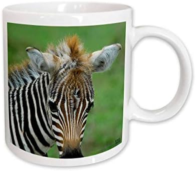 Керамична чаша 3dRose Common Zebra Кения, Африка, На 11 Грама