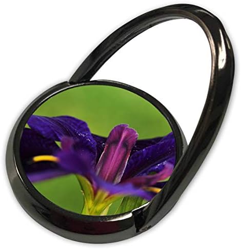 3D-Печат City - Flowers - Макросъемка кътче цвете виолетов ирис. - Телефонно обаждане (phr_320154_1)