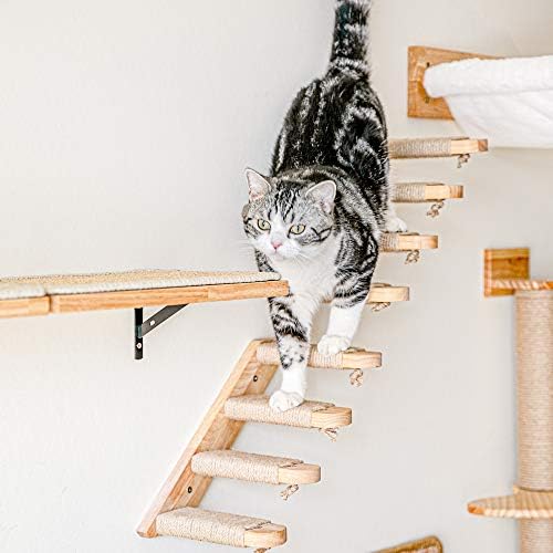 Стенни Мебели за котки FUKUMARU, Включително Кошачью Стъпало за Изкачване, Котешки Хамак, Монтиране на Дърво