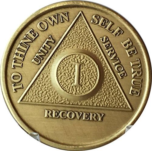 Юбилейна Медальон wendells AA Всяка година на Издаване 1-65 от Бронз с Чип и Мешочком за Монети