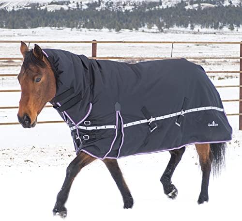 Класическо Зимно Одеало за крос-тренажори за коне 10K с качулка, Черно, Голямо