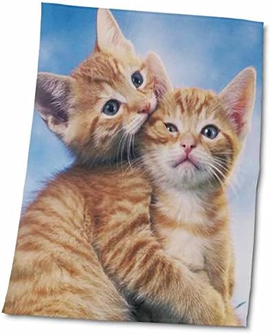 Кърпи за котки 3dRose Florene - Kitten Love - (twl-33337-1)
