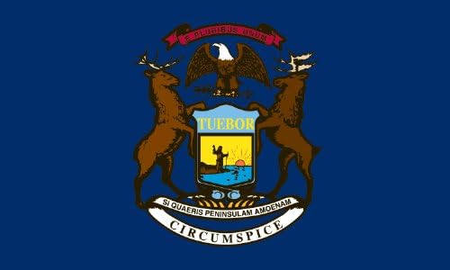 Valley Forge, Флаг на щата Мичиган, Найлон, 3x5 инча, Направени в САЩ, а Платно на осп, Высокопрочные месингови